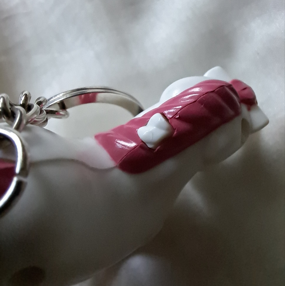 Keychain - Picture 3 of 5